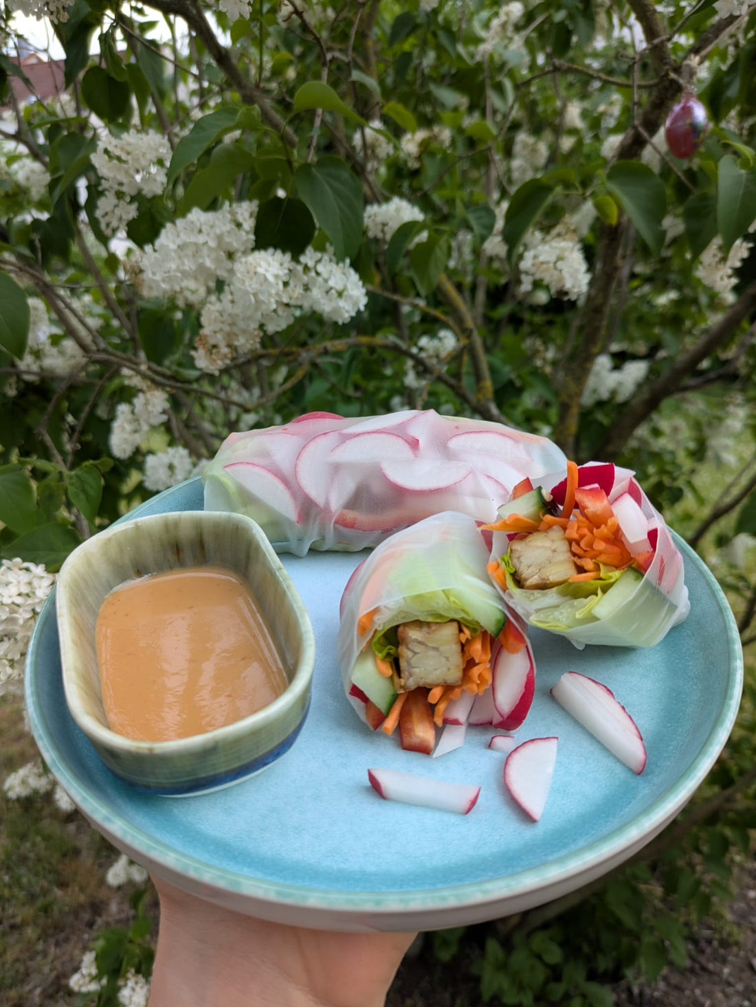 Sommerrollen mit Tempeh & Erdnussdip